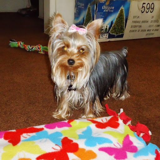 Hazel Williams Photo 13
