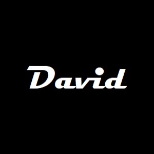 David Bauer Photo 48
