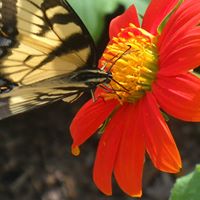 Christine Moyer Photo 35