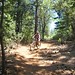 Jill Boggs Photo 17
