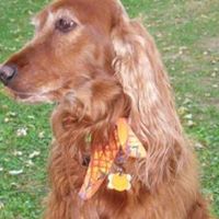 Janice Beckwith Photo 9