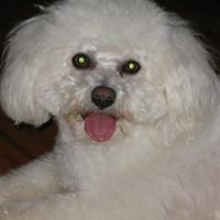 Betty Wiebe Photo 18