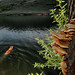 Steven East Photo 10