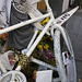 Linda Sheppard Photo 6