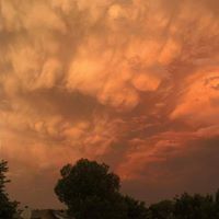 Matthew Swan Photo 28