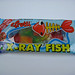 Ray Fish Photo 17