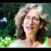 David Friedman Photo 59
