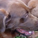 Amy Mchenry Photo 36