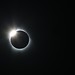 Paul Ring Photo 16