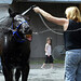 Colleen Larkin Photo 13