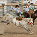 Torrence Brown Photo 23