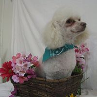 Kathy Primm Photo 4