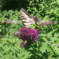 Julie Doty Photo 8