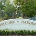 Christian Harding Photo 20