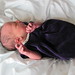 Addison Thomas Photo 34