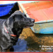 Julie Province Photo 8