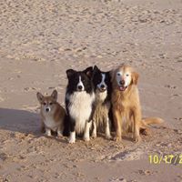 Sally Slade Photo 6