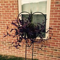 Deborah Gray Photo 22