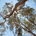 Alice Wells Photo 6