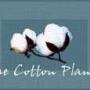 Lori Cotton Photo 24