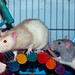 Roger Elwood Photo 9