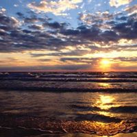 Cindy Trask Photo 9