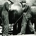 Bruce Workman Photo 14