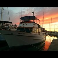 Tammy Blain Photo 11