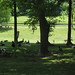 Donald Thornhill Photo 13