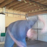 Randy Hedrick Photo 10