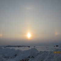 Roxanne Thurman Photo 3