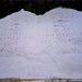 Martha Carroll Photo 13
