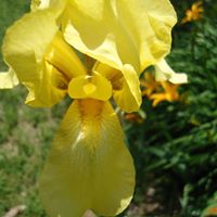 Linda Chapin Photo 15
