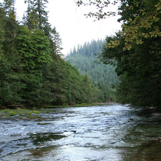 Connie Burdick Photo 2