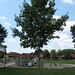 Walter Green Photo 16