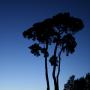 James Hayton Photo 27
