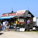 Cindy Gray Photo 12
