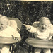 Bobby Robins Photo 5