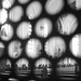 Jose Crespo Photo 32