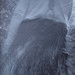 Paul Shoemaker Photo 35