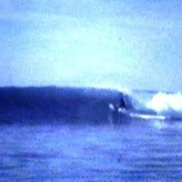Steven Gustafson Photo 13
