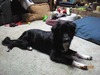 Debby Doty Photo 1