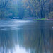Misty Wright Photo 36