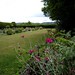Harry Edwards Photo 53