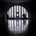 Andy Ellis Photo 19