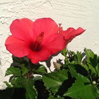 Susan Best Photo 30