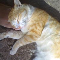 Jean Andrade Photo 7