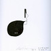 Max Dull Photo 6