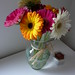 Casey Wells Photo 32