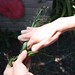 Sharon Grass Photo 9